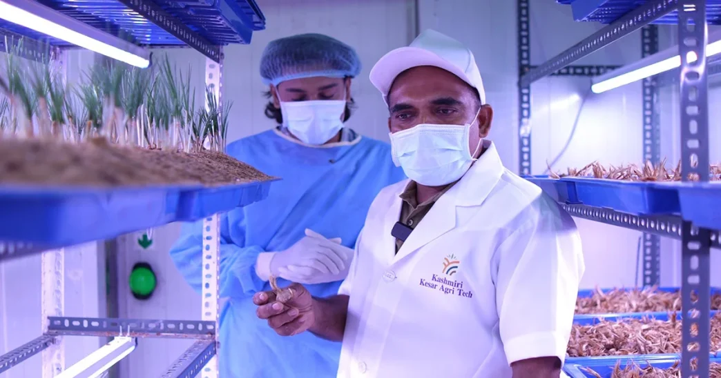 Growing Gold at Home: The Inspiring Saffron Success Story of James Kappani