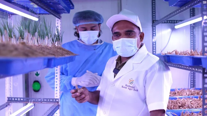 Growing Gold at Home: The Inspiring Saffron Success Story of James Kappani