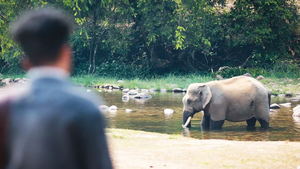 Anakulam: Kerala’s Village Where Wild Elephants Come for a Daily Drink