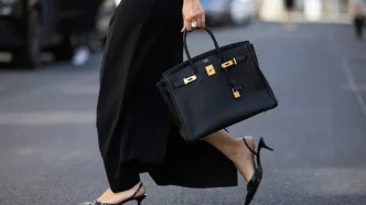 Hermès Birkin: The Handbag That Turned Luxury Into an Obsession!